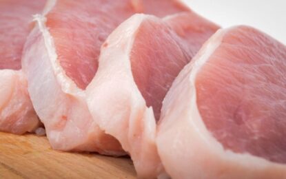 Singapur comenzará a importar carne y productos porcinos de Argentina