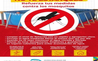 Dengue: Tras las intensas lluvias el municipio capitalino insta a la precaución para evitar proliferación de mosquitos