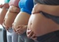 ANSES brinda cobertura durante el embarazo con la Asignación Familiar por Prenatal