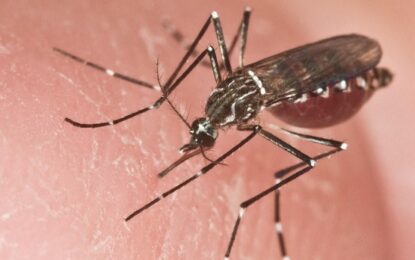 En la última semana se registraron 2956 nuevos casos de dengue en la provincia