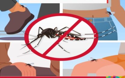 El municipio capitalino intensifica la campaña contra el dengue