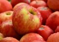 Los beneficios de comer una manzana por día, según expertos de Harvard