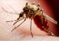 Confirmaron el primer muerto por coinfección de dengue en el país
