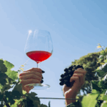 Las 24 Horas de Jujuy – “II Jornadas de Enoturismo en Jujuy” y “Las Rutas del Vino”, el nuevo circuito de vinos se presenta oficialmente