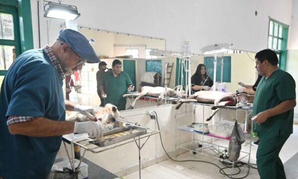 Zoonosis: Así continuara el cronograma semanal de atención en los distintos barrios