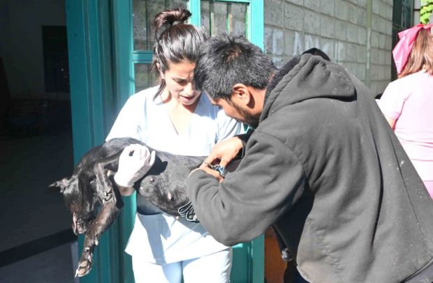 Así será el cronograma de la Dirección de Zoonosis para la primera semana de febrero