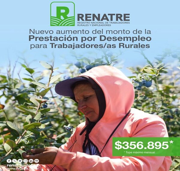 RENATRE actualizó los montos de la Prestación por Desempleo y lleva el máximo a $ 356.895
