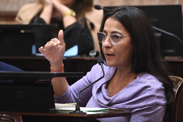 Carolina Moisés: «El 10% de aumento salarial, es una verdadera falta de respeto para toda la sociedad jujeña»