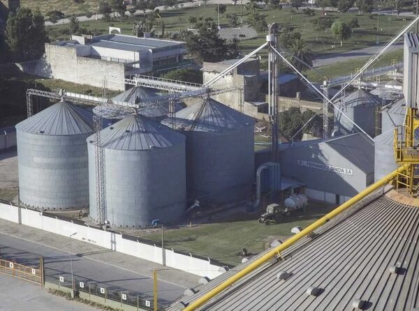 Cerealeras y aceiteros celebraron la reforma laboral y dijeron que creará empleo