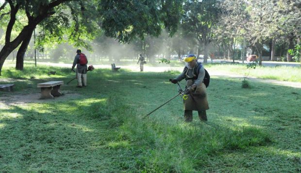 El municipio refuerza el desmalezado y corte de pasto en los barrios de Capital
