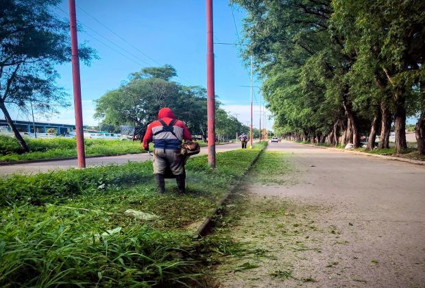 Fuerte operativo de desmalezamiento en el acceso norte de San Pedro