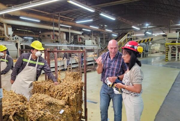 Articulación estratégica entre la Cooperativa y el Gobierno para potenciar el sector tabacalero