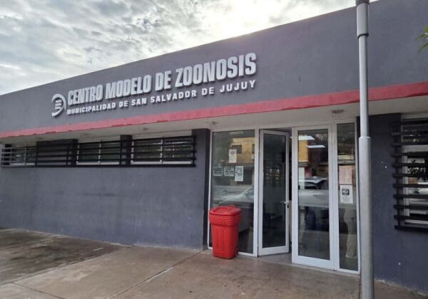 Desde el 16 de marzo, el pago para castrar mascotas deberá abonarse en Rentas de la Municipalidad