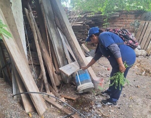 Salud y municipios despliegan operativos en conjunto para prevenir casos de chikungunya