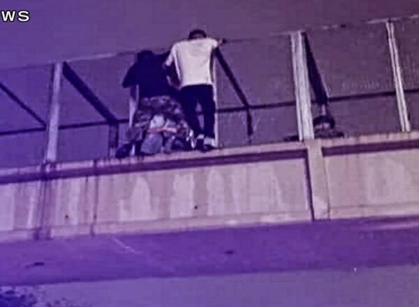 Evitaron una tragedia en la pasarela de avenida General Savio