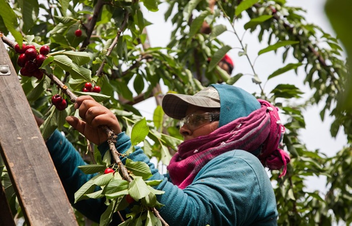 Lanzan el Programa de Empleo Rural para promover el empleo formal