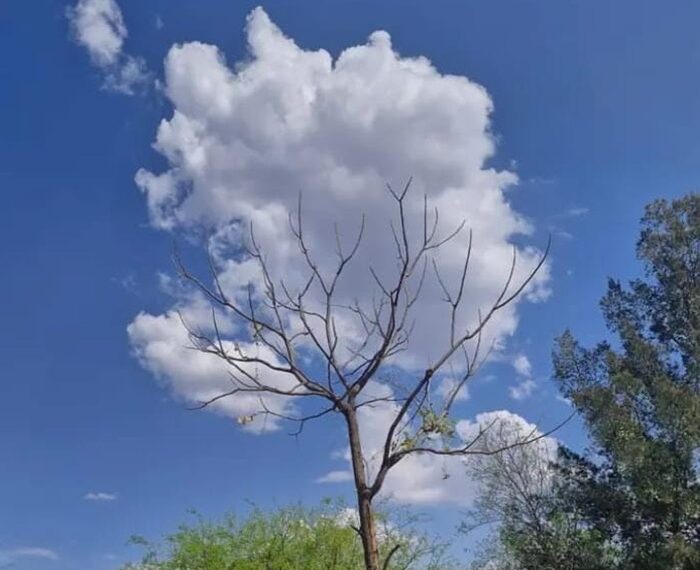 Clima en San Salvador de Jujuy: Pronóstico del tiempo para hoy viernes 8 de mayo