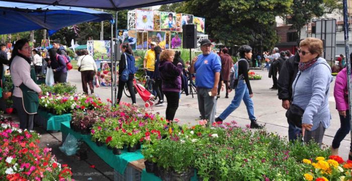Este viernes comienza la 16° edición de “La Flor Más Bella” en avenida 19 de Abril