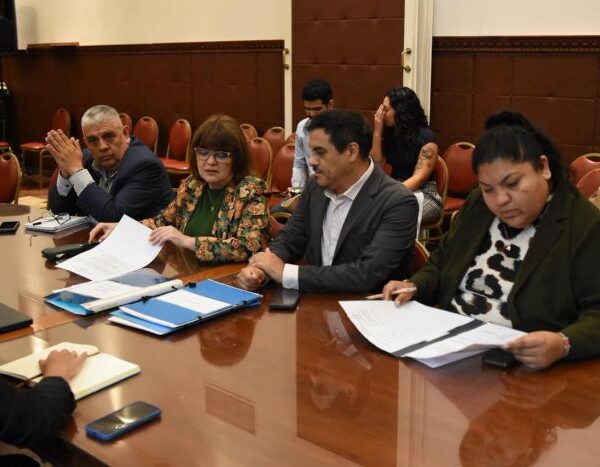 La Comisión de Cultura y Turismo repudian agravios a Mercedes Sosa y avanzan en proyectos turísticos