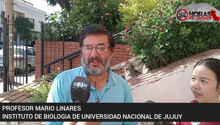 Dengue y chikungunya: Profesionales de la Universidad de Massachusettsy de la UNJu focalizan su trabajo en San Pedro
