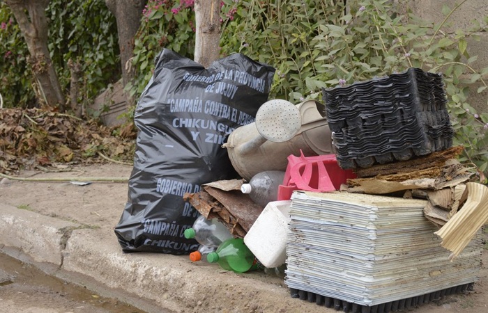63 casos de Chikungunya: Jujuy refuerza las acciones preventivas con énfasis en el descacharrado