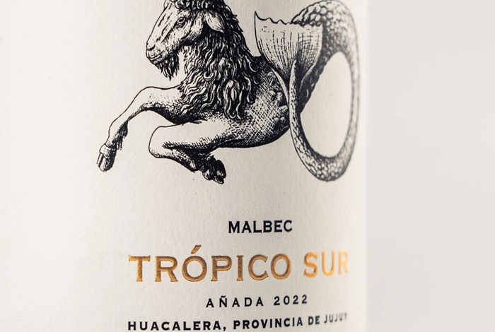 Día Mundial del Malbec: Un vino jujeño entre los 10 vinos imprescindibles para celebrar