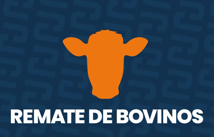 Remate ganadero en Jujuy: Convocan a productores a participar de una nueva jornada en la Sociedad Rural