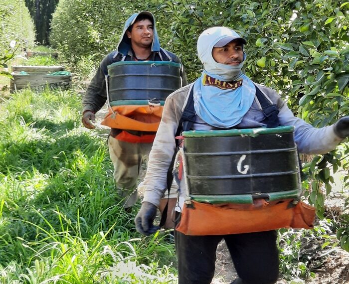 RENATRE actualizó la Prestación por Desempleo y alcanza el monto máximo en $374.954