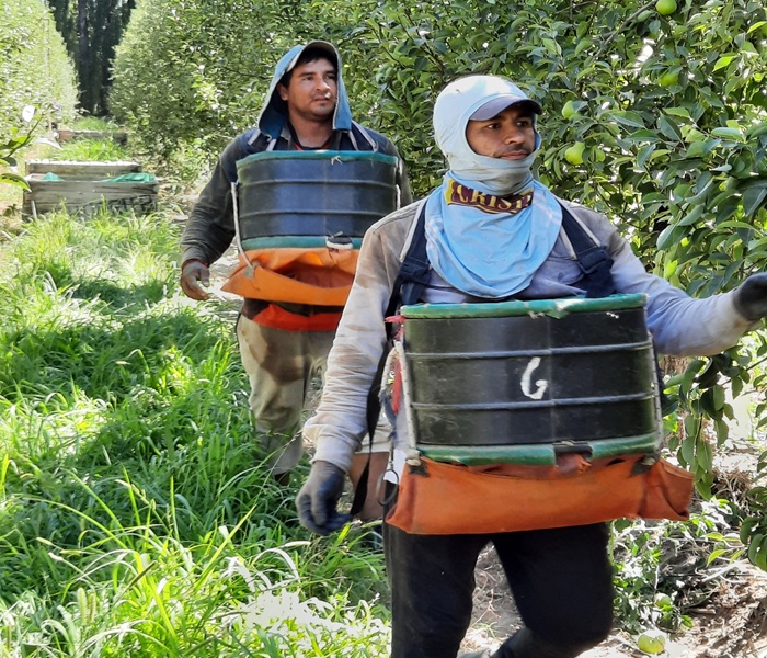 RENATRE actualizó la Prestación por Desempleo y alcanza el monto&hellip;