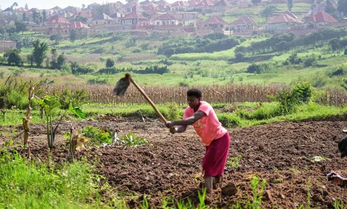 Ruanda protege tierras agrícolas ante el crecimiento urbano y la demanda alimentaria