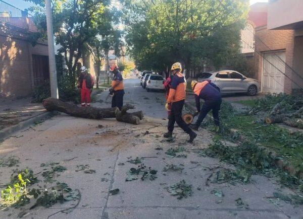El Gobierno desplegó un operativo de emergencia en la Capital luego de las fuertes ráfagas de viento