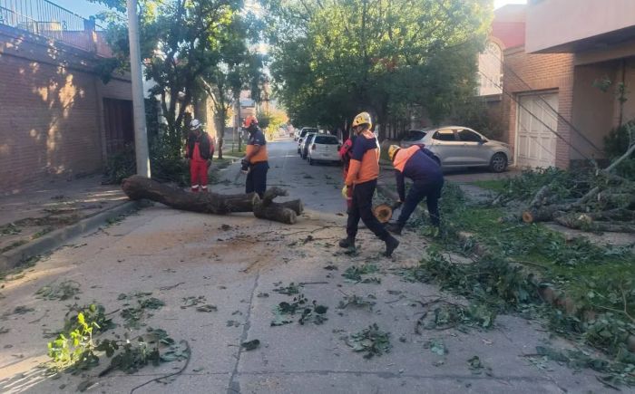 El Gobierno desplegó un operativo de emergencia en la Capital&hellip;