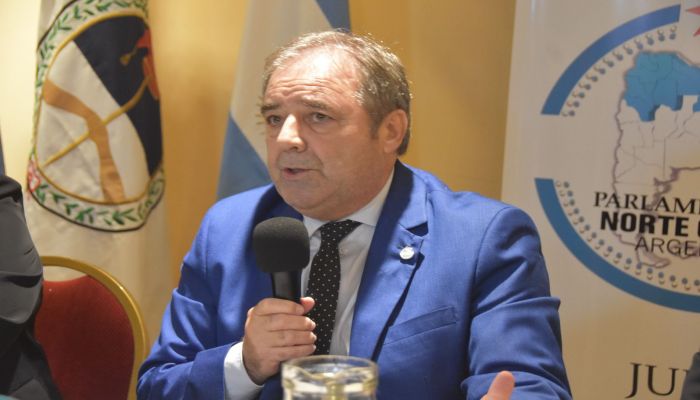 Bernis advirtió sobre el impacto de la reducción del transporte de gas en la industria regional