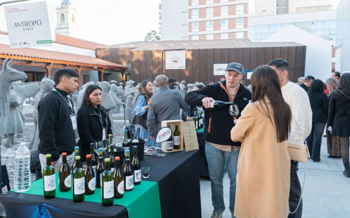 El Cabildo histórico recibe la segunda edición de la Feria de las Rutas del Vino