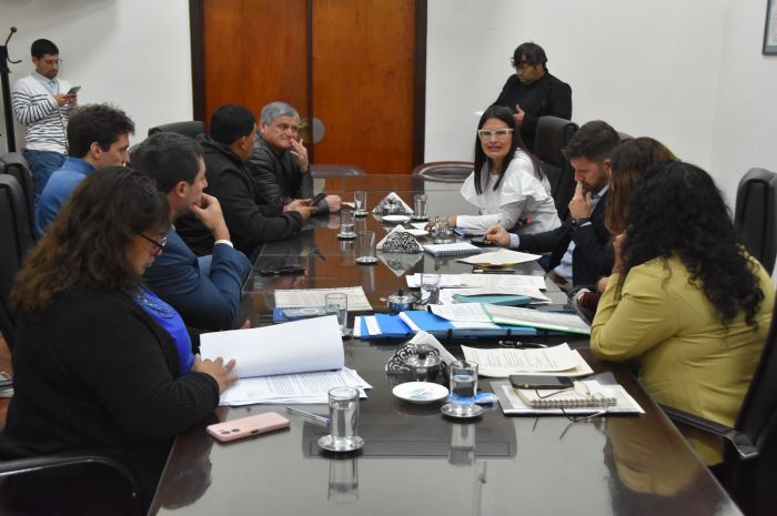 La Comisión de Obras Públicas avanzó con el tratamiento de proyectos sobre infraestructura y seguridad vial