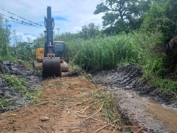 Avanzan tareas de desmalezado y mantenimiento hídrico en Capital y San Pedro