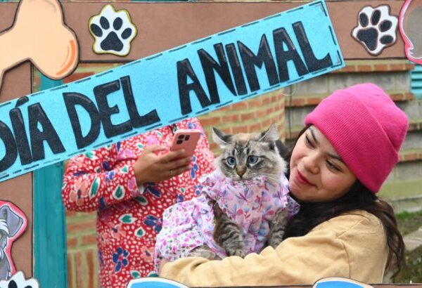 Semana del Animal: Más de mil atenciones se realizaron en distintos barrios de de San Salvador de Jujuy