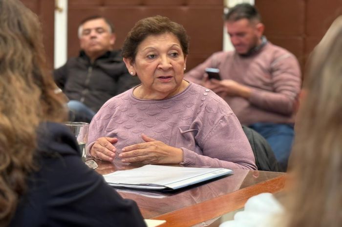 La diputada María Ferrín advirtió que el ajuste nacional pone en riesgo la educación pública