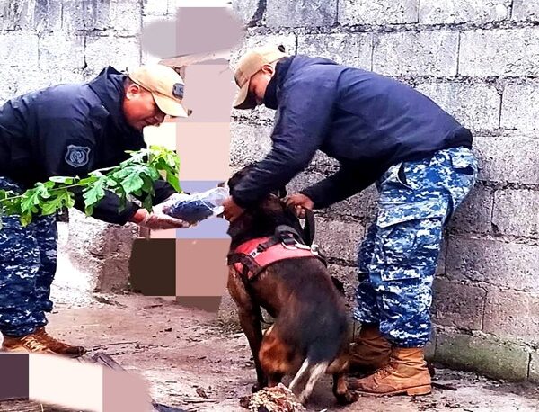 Policías localizaron a un menor que era intensamente buscado en ciudad Perico y Alto Comedero