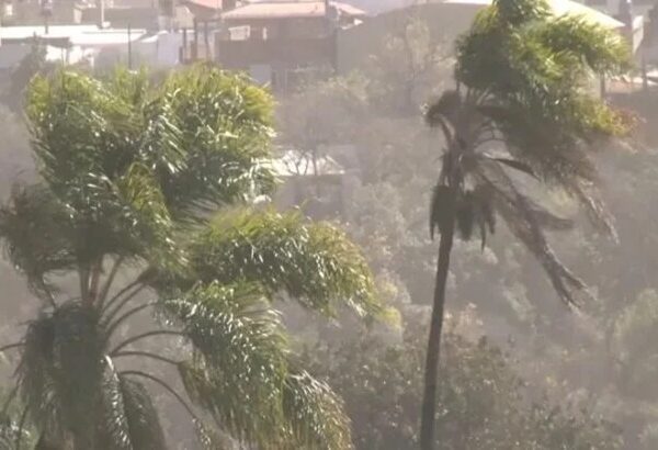 Alertas amarillas por nevadas, vientos fuertes y Zonda en siete provincias del país