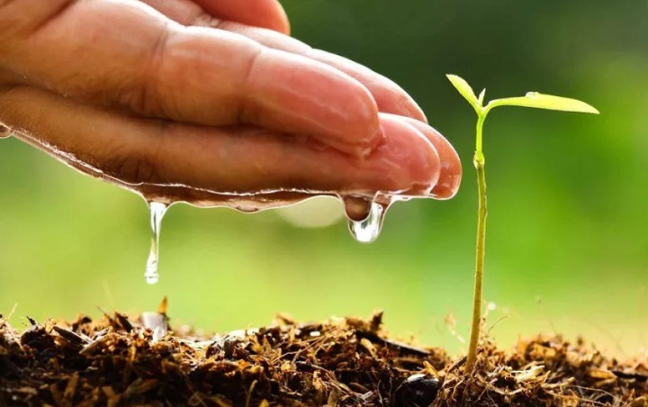 «Día del Medio Ambiente»: Avances en la conservación de la&hellip;