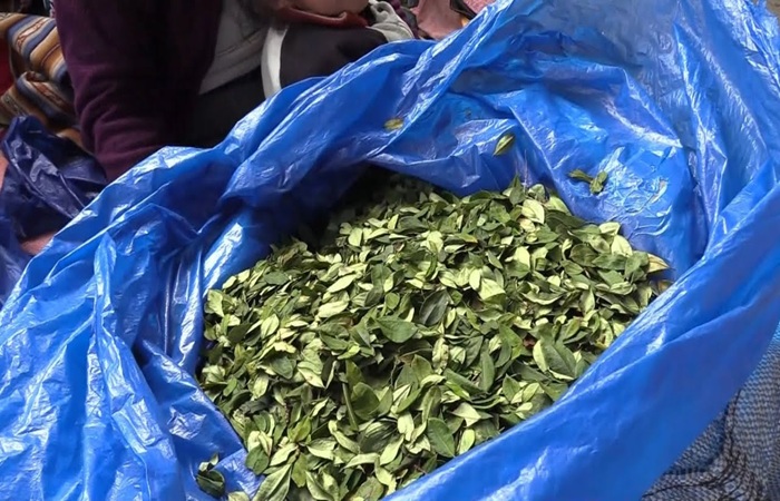 Zigarán y Rizzotti impulsan la legalización de la hoja de coca para regular su comercialización en Jujuy y Salta