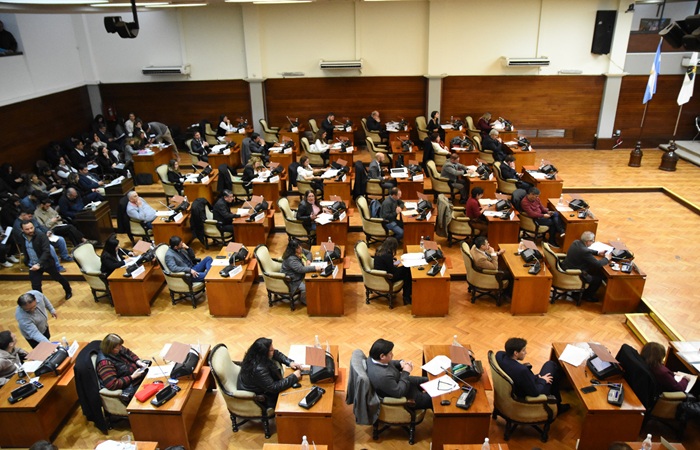 Sin acompañamiento libertario, la Legislatura pide a legisladores nacionales de Jujuy gestionar eliminación del IVA en la boleta de luz
