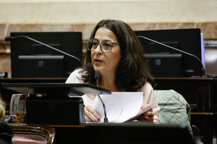 Carolina Moisés presentó proyectos para crear canastas de referencia de gastos de jubilados y personas con discapacidad