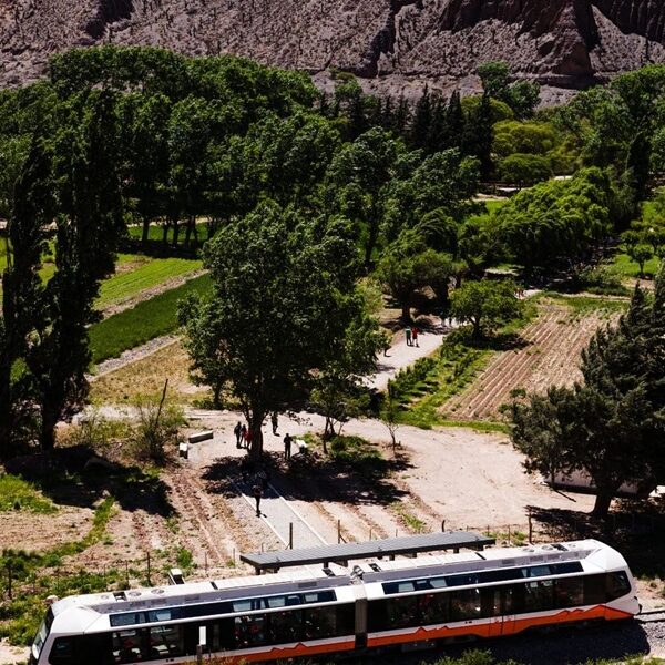 Tren del Vino: Nace la nueva experiencia de enoturismo del Tren Solar