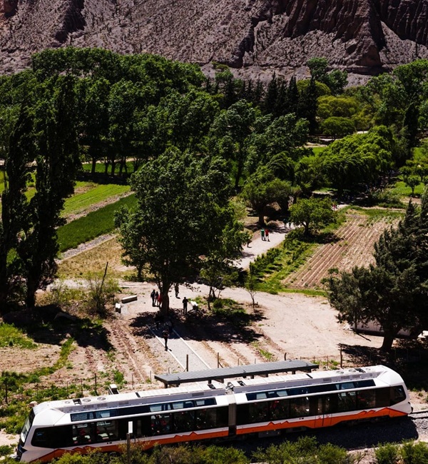 Tren del Vino: Nace la nueva experiencia de enoturismo del…