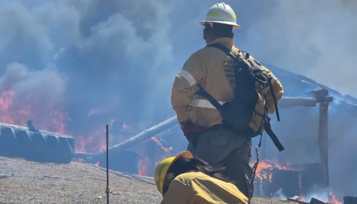 Incendio en Volcán: Brigadistas evitaron que las llamas alcanzaran una…