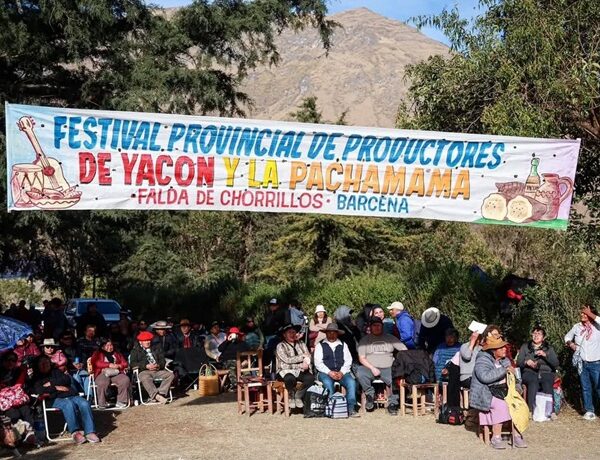 El Festival Provincial de Productores de Yacón y la Pachamama reunió a las cuatro regiones