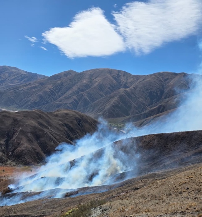 Incendio de vegetación en Volcán: El fuego permanece activo y continúa el operativo