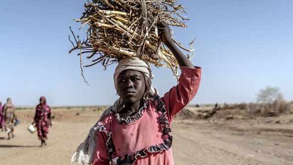 A medida que las guerras se extienden, el sistema alimentario mundial se desmorona